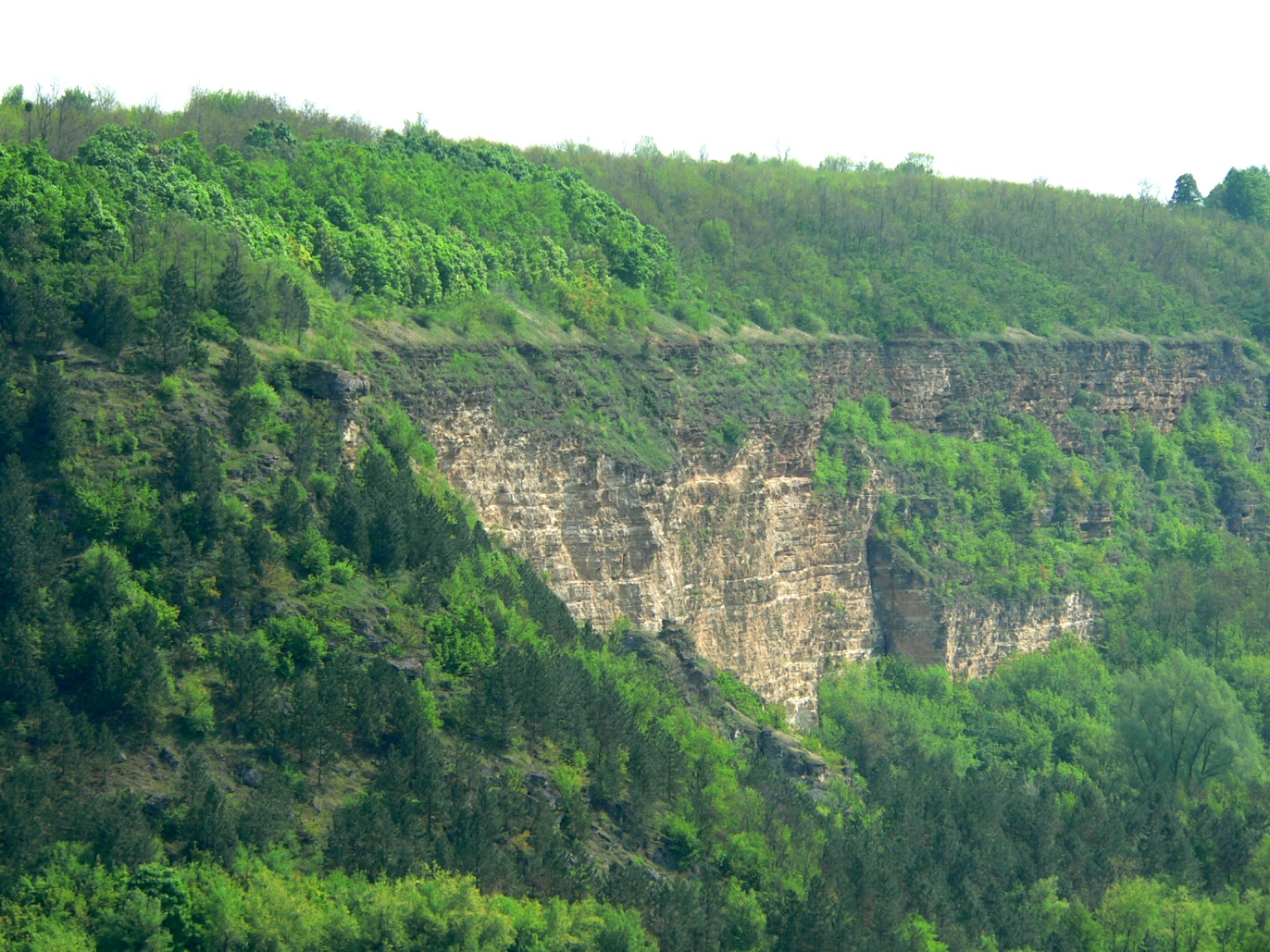 Село Рашково Приднестровье